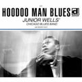 Hoodoo Man Blues (Lava LP Vinyl)