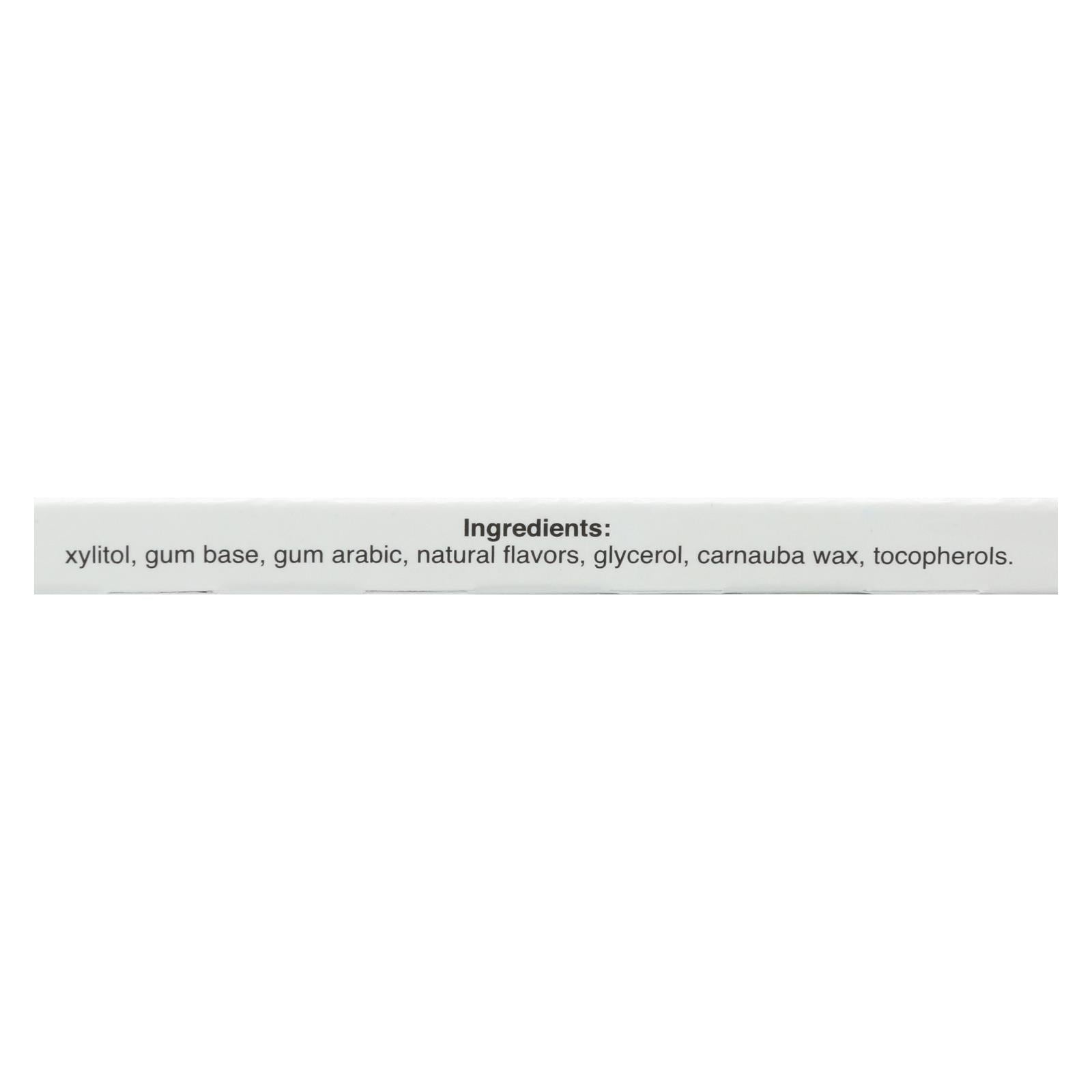 Pur Gum Wintergreen - Aspartame Free - 12 Pack
