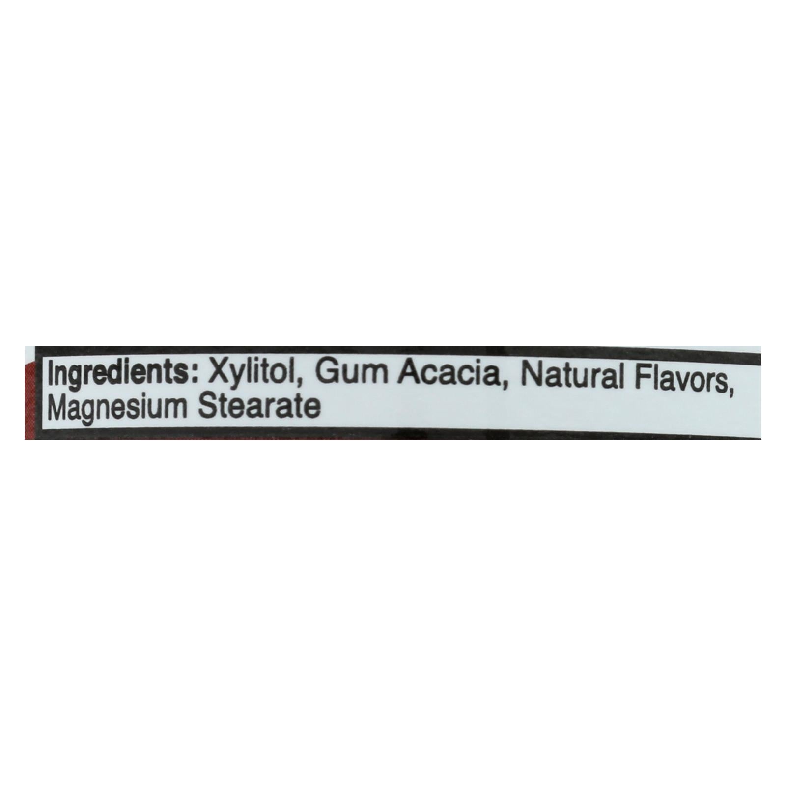 Epic Dental Cinnamon Xylitol Mints, 180 Count Bottle
