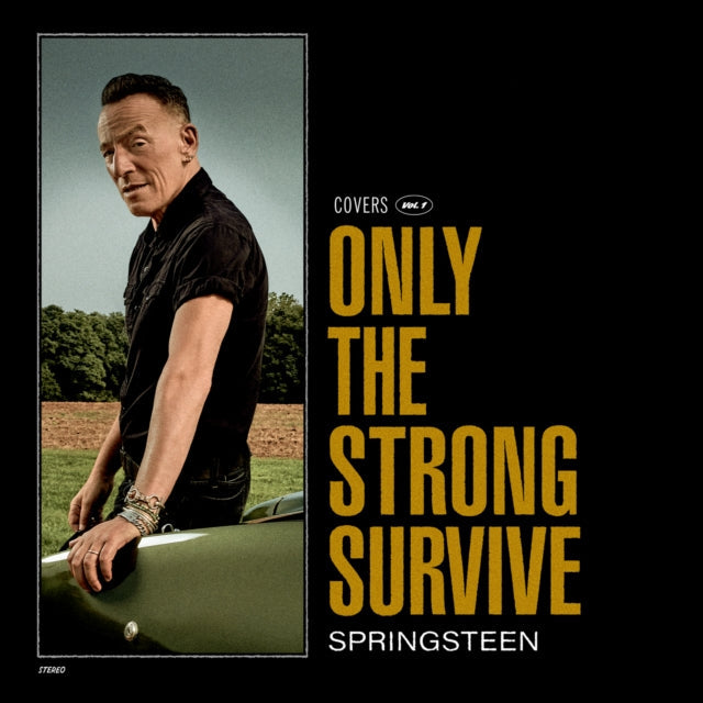 Greatest Hits (2 LP/150G Vinyl/Dl Code) & Western Stars (2LP/150G) & 18 Tracks & Letter To You (2LP/140G) & Only The Strong Survive (2LP/140G/D-Side Etching) & Best Of Bruce Springsteen (2LP) & Magic (180G) & Darkness On The Edge Of Town (180G)