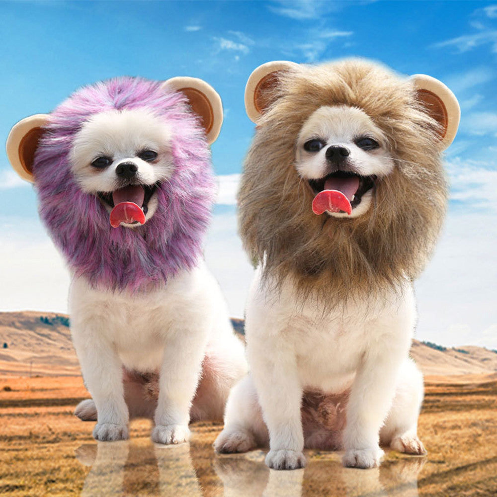 Lion Turns Into Halloween Ghost Pet