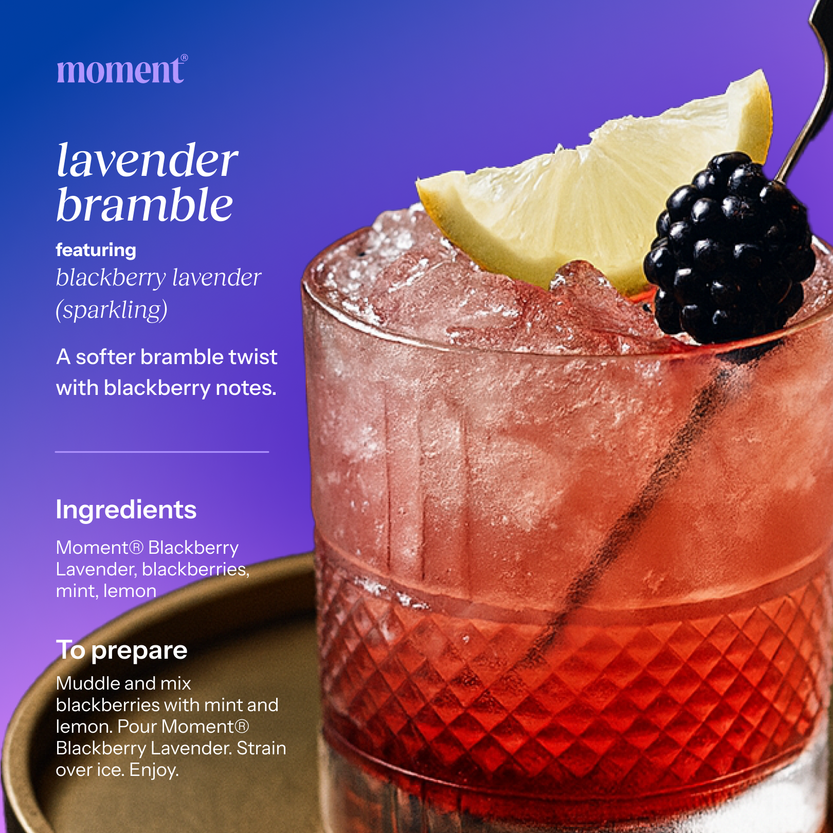 blackberry lavender (botanical soda | 12 pack)