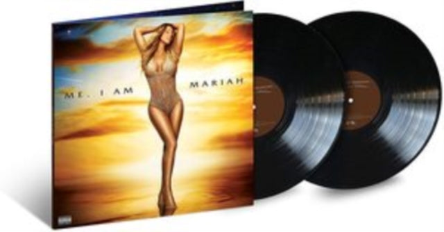 Mariah Carey - Daydream & Butterfly & Rarities (4LP) & #1’S (2LP/Metallic Silver & Black Swirl Vinyl) & Me. I Am Mariah...The Elusive Chanteuse (2LP)