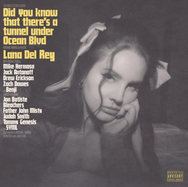 Lana Del Rey - Blue Banisters (2LP) & Did You Know That There’S A Tunnel Under Ocean Blvd (X) (2LP/180G) & Violet Bent Backwards Over The Grass (180G) & Born To Die (Paradise Edition) (Only The Bonus Material) & Paradise & Ultraviolence &