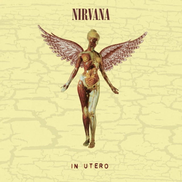 Nirvana - In Utero (30Th Anniversary) (LP/10 Inch) & Live At Reading