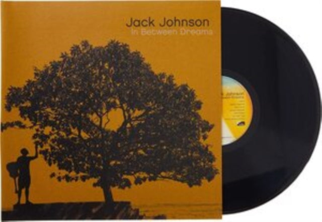 In Between Dreams & En Concert & Brushfire Fairytales (High Def Edition/180G)
