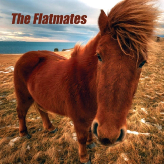Flatmates - Flatmates - LP Vinyl