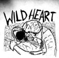 Current Joys - Wild Heart - LP Vinyl