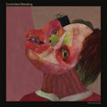 Carvingsongs