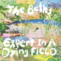 Beths - Expert In A Dying Field (Silver LP Vinyl)