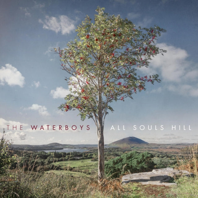 Waterboys - Dream Harder (180G) & All Souls Hill - LP Vinyl Bundle