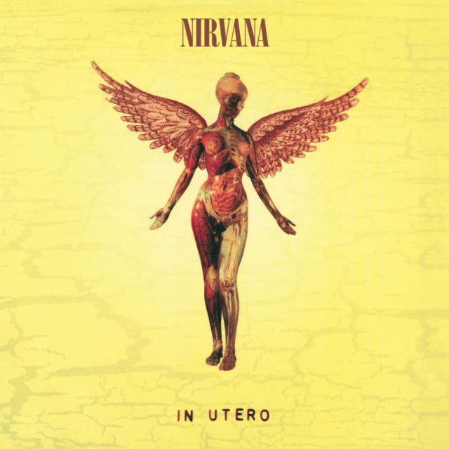 Nirvana - In Utero (180G/33-1/3 RPM) & Unplugged In N.Y. - LP Vinyl Bundle