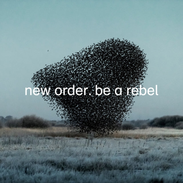 Education Entertainment Recreation (Live) & Be A Rebel & New Order (Marble LP Vinyl)
