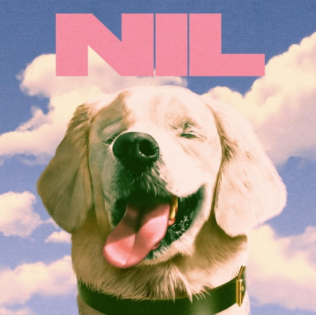 Dirty Nil - Fuck Art - LP Vinyl