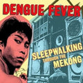 Sleepwalking Through The Mekong (2LP)