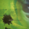Eiafuawn - Birds In The Ground - LP Vinyl