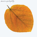 Pete Jolly - Seasons (Clear Green LP Vinyl)