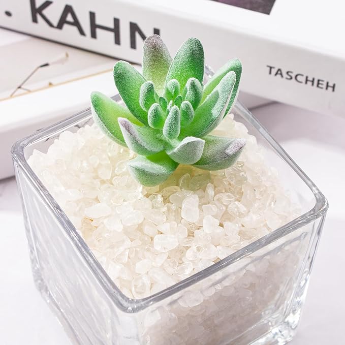 0.88 Lb Clear Quartz Crystal Chips Natural Tumbled Healing Crystal Chips Bulk Crushed Stones, Betta Fish Tank Gravel Rocks Clear Mini Pebbles for Aquarium, Vase Fillers, Succulent Plants Decor, 3 - 5 mm - PhishStones Products