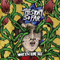 Story So Far - What You Don't See - LP Vinyl
