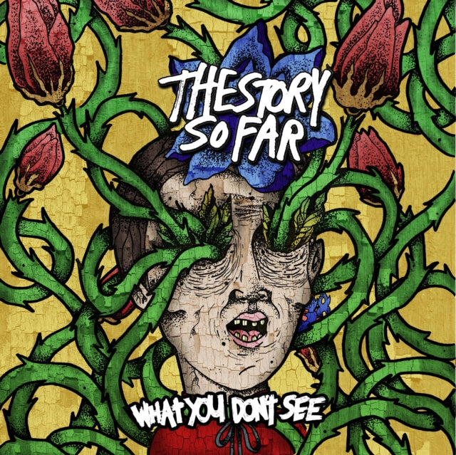Story So Far - What You Don't See & I Want To Disappear - LP Vinyl Bundle