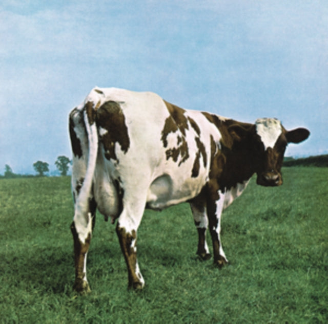 Pink Floyd - Momentary Lapse Of Reason (180G/Gatefold) (2016 Version) & Atom Heart Mother (180G/Gatefold/2016 Version) & Animals (2018 Remix) (180G/LP/CD/Blu-Ray/DVD) & Final Cut (180G/Gatefold) (2016 Version) & Dark Side Of The Moon: Live At Wembley