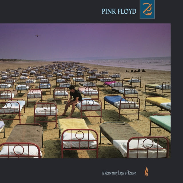 Pink Floyd - Wall & Wish You Were Here (Limited) & Momentary Lapse Of Reason (180G/Gatefold) (2016 Version) & Animals (2018 Remix) (LP/CD/DVD/Blu-Ray/180G)