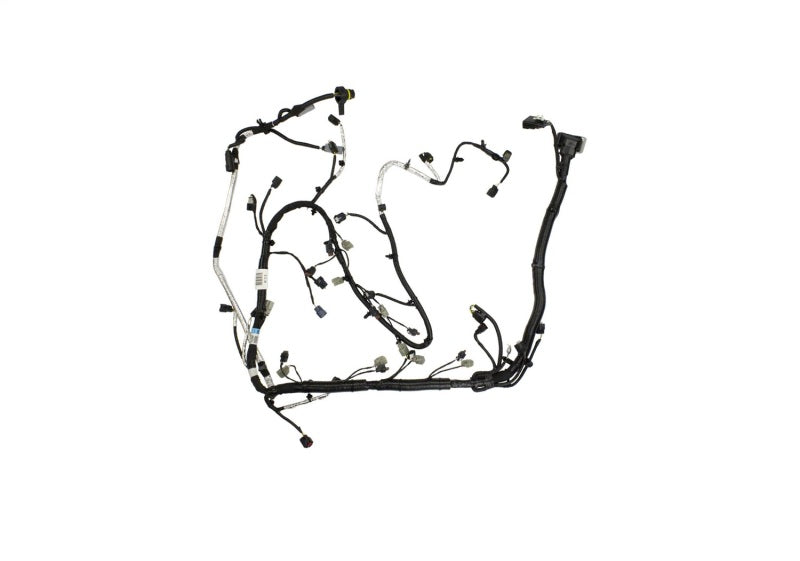 Ford Performance Parts Ford Racing 5.0L Coyote Engine Harness for Automatic Transmission