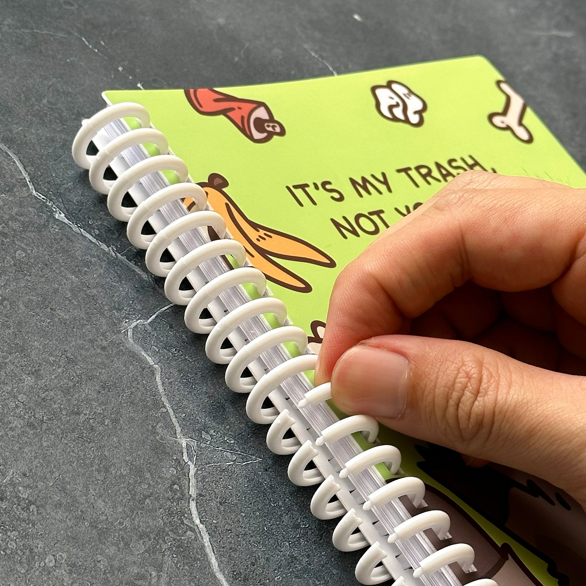 LG It's My Trash Not Yours Raccoon Reusable Sticker Book