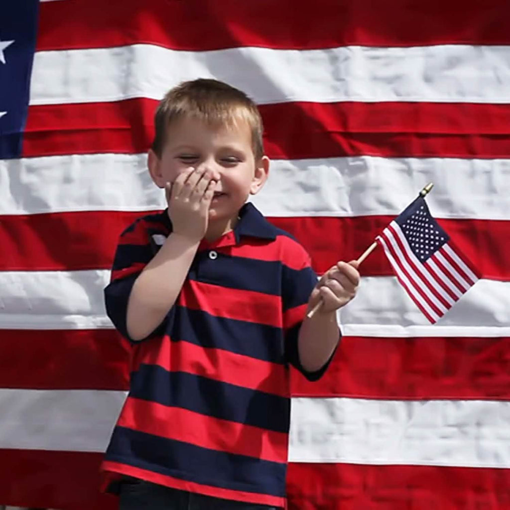 100 - Pack: USA 4x6 in Wooden Stick Flag - PhishStones Products