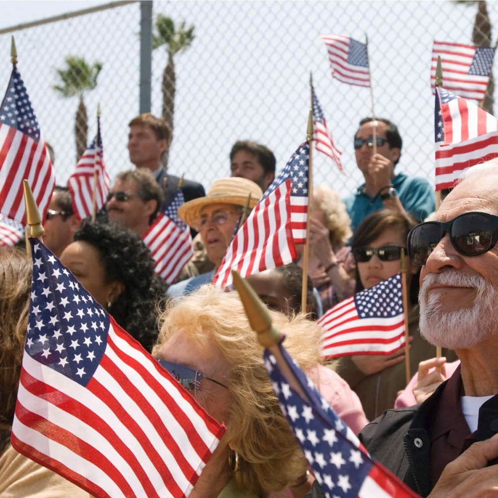 100 - Pack: USA 4x6 in Wooden Stick Flag - PhishStones Products