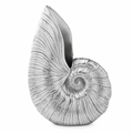 Shell Pitcher