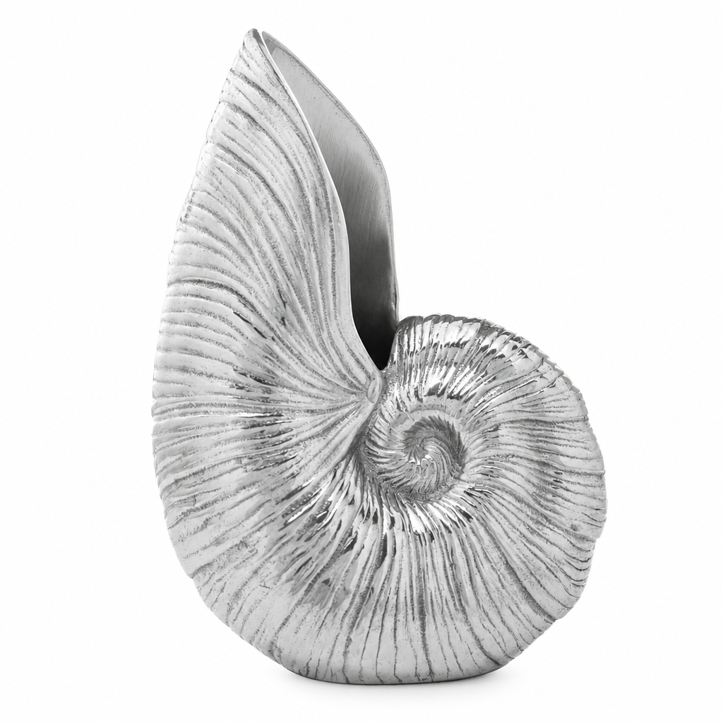 Shell Pitcher