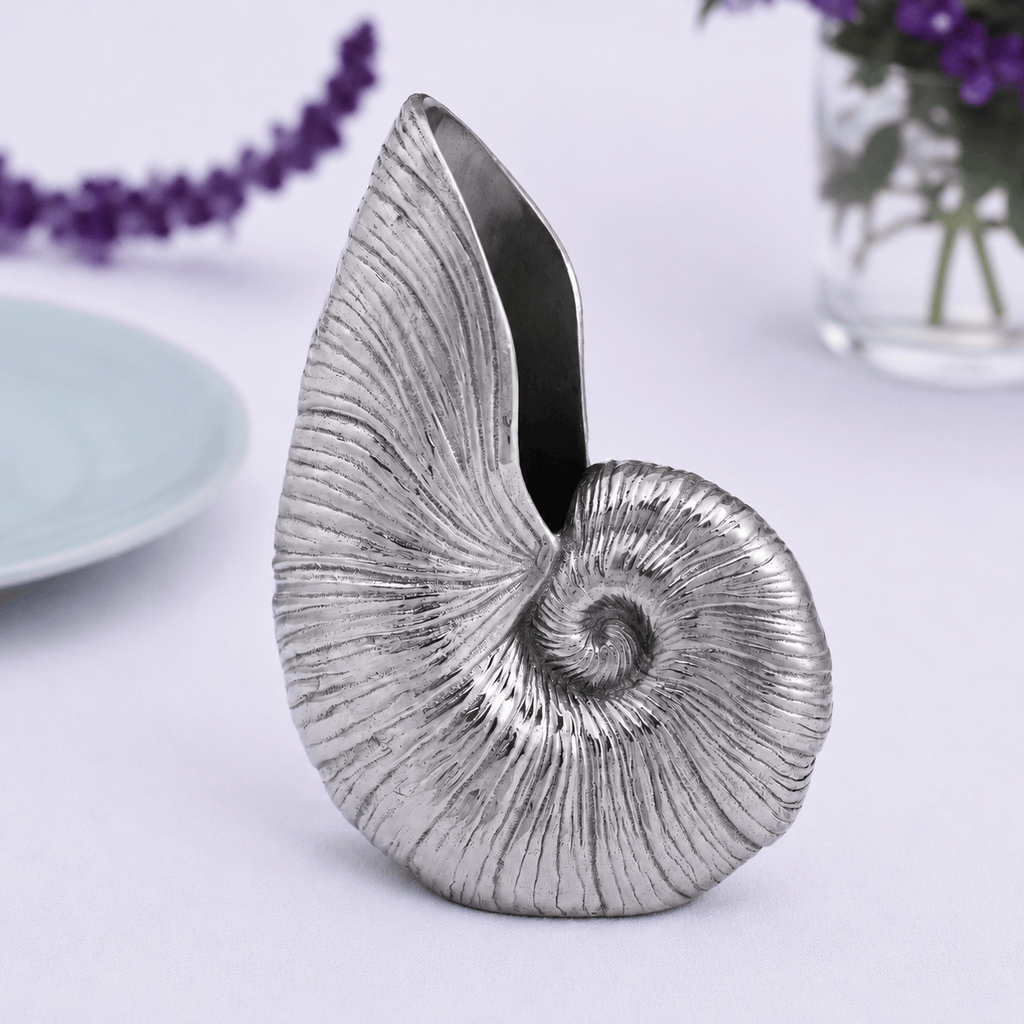 Shell Pitcher
