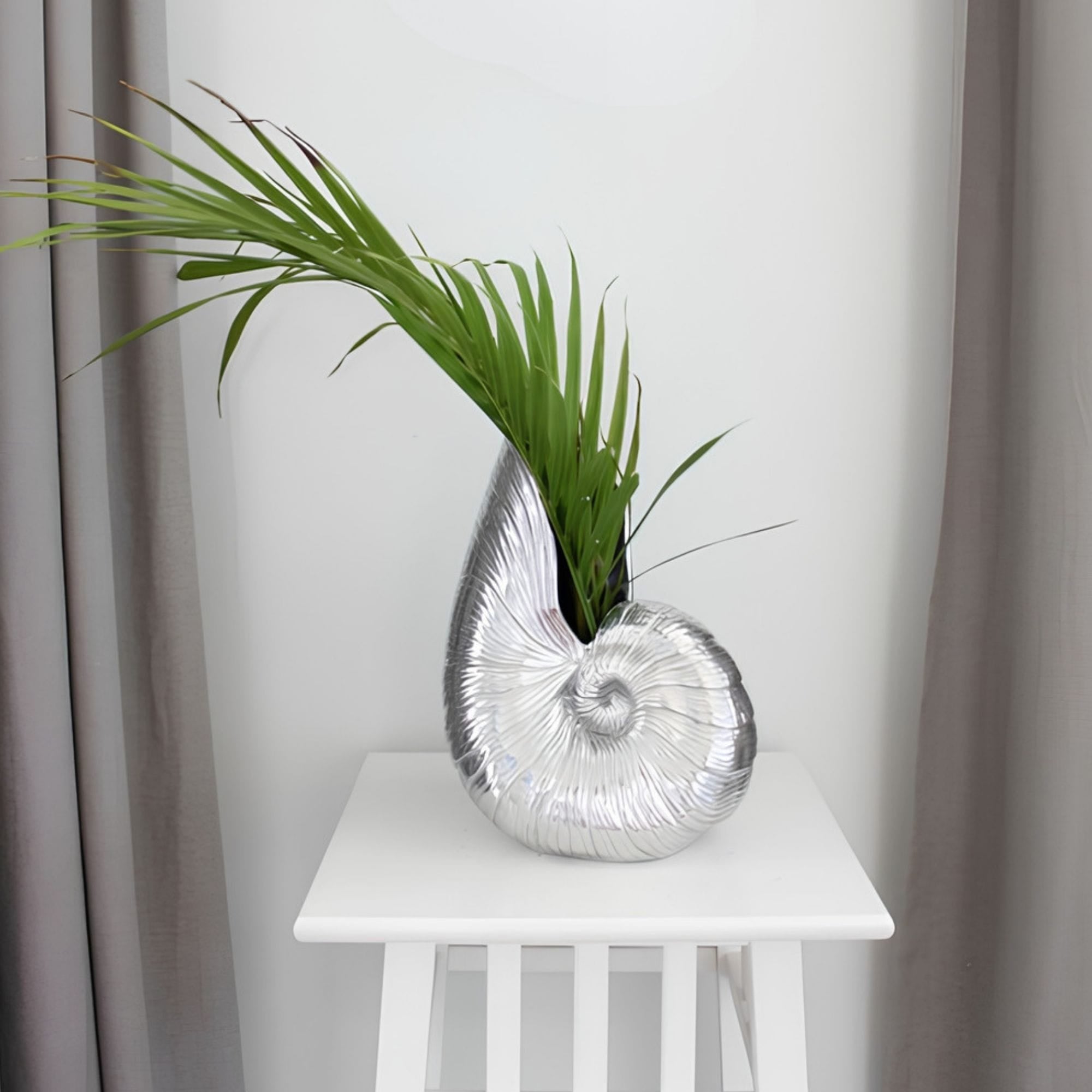 Shell Pitcher