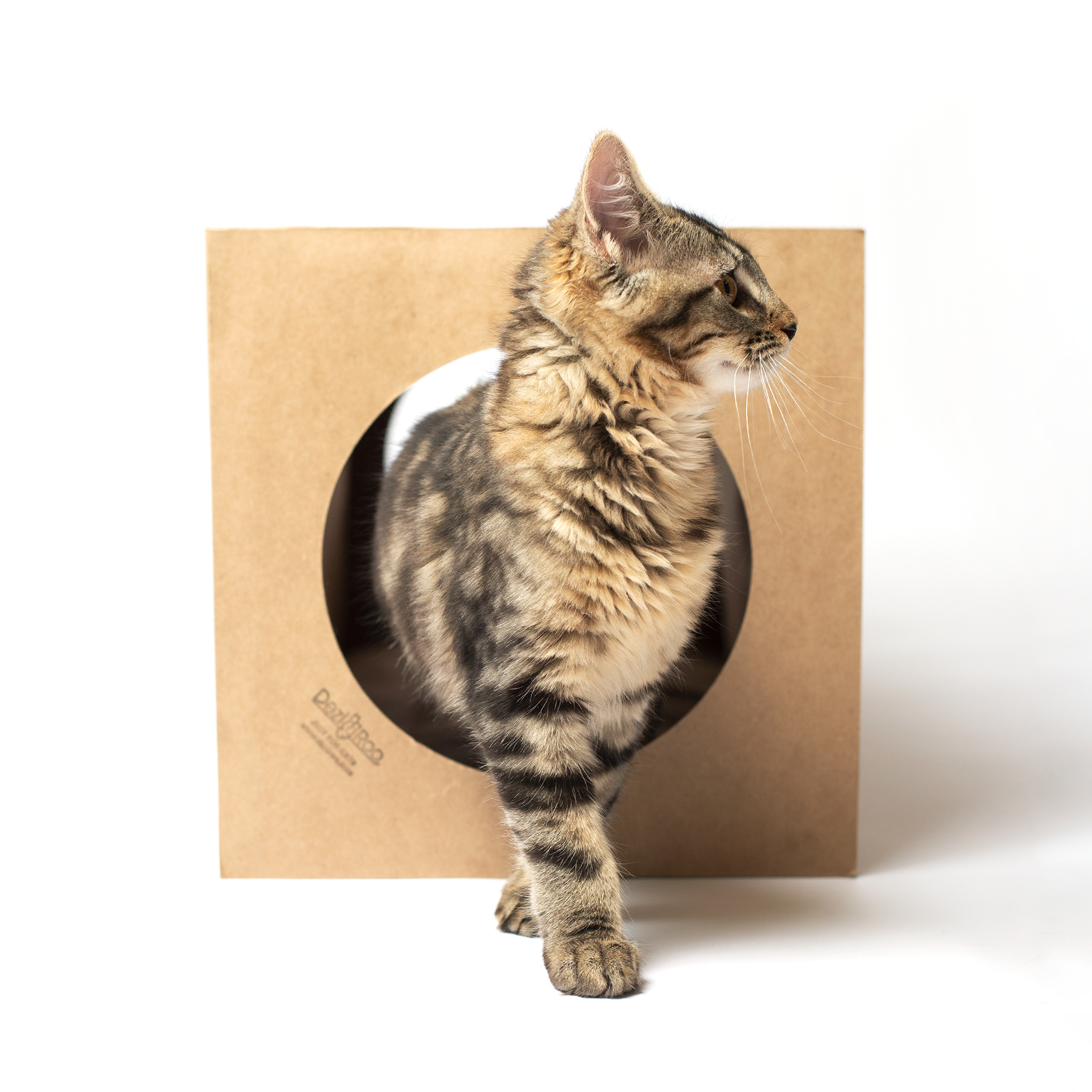 📦🐱 Hide & Sneak Cat Tunnel – Eco-Friendly Crinkle Paper Hideaway