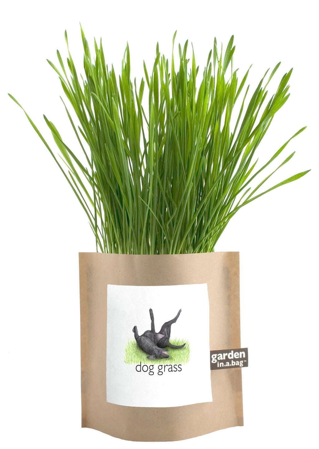 🐶🌱Garden in a Bag | Dog Grass | Spring Pet Treat Gift