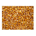 Premium Organic Yellow Popcorn - 5lb Bulk Pack for Healthy Snacking