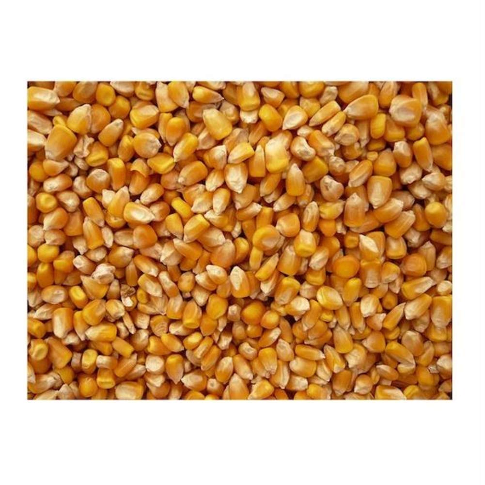 Premium Organic Yellow Popcorn - 5lb Bulk Pack for Healthy Snacking