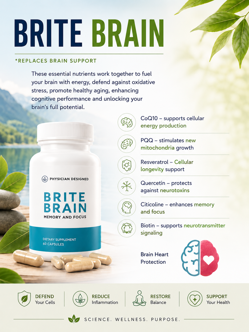 Brite Brain