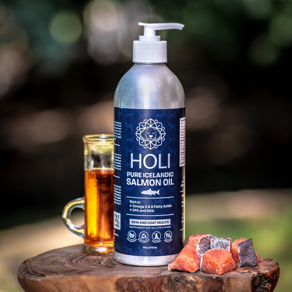 HOLI Icelandic Salmon Oil for Dogs | Extra Virgin