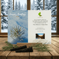 Plant a Tree Holiday Card 2026