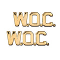 U.S. Army Warrant Officer Candidate (W.O.C.) STA-BRITE® (pair)