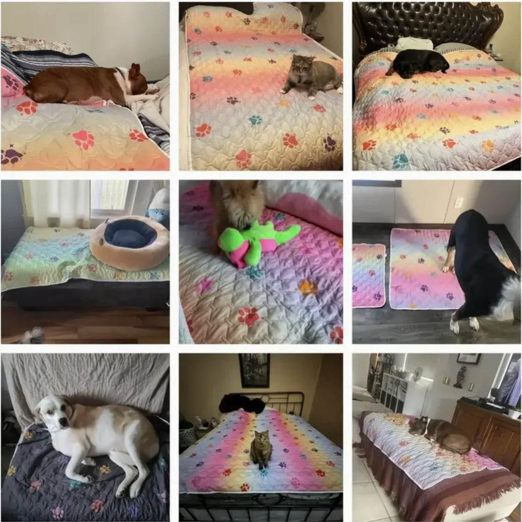 Waterproof Reversible Rainbow Pet Bed Cover