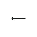 Standard Panhead Phillips Bolt 1" - Black (Single)