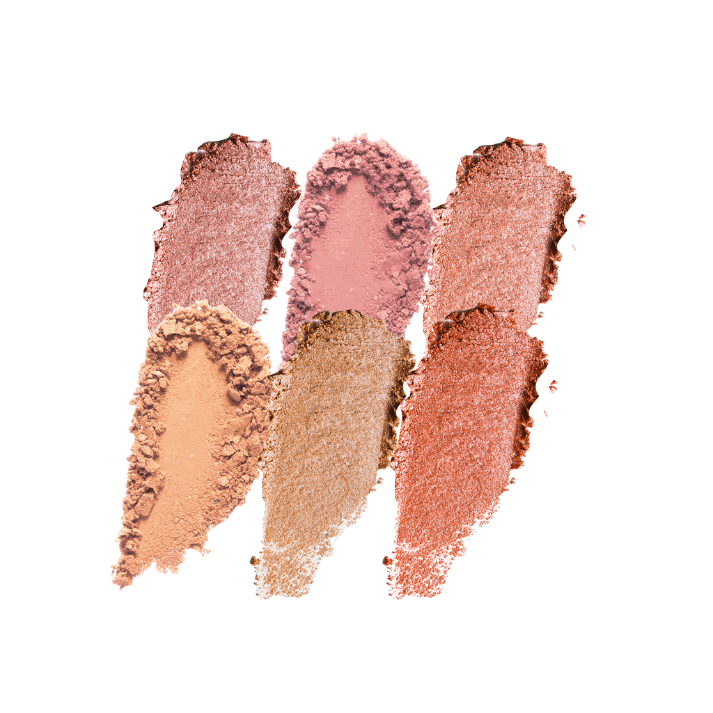 Blush 6 Shade Face Palette