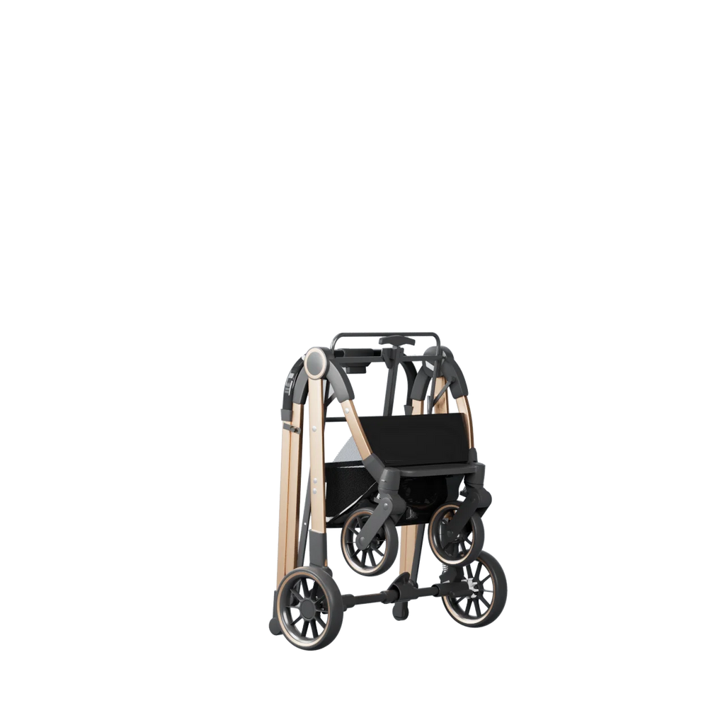 2 - in - 1 Foldable Pet Stroller with Detachable Carrier Bag – Portable Dog & Cat Cart for Small Pets - PhishStones Products