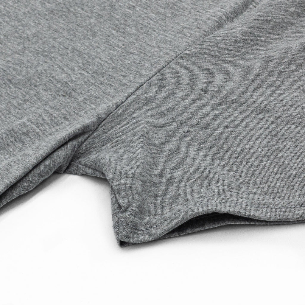 Coors Banquet Rocky Mountain Water T-Shirt- Gray