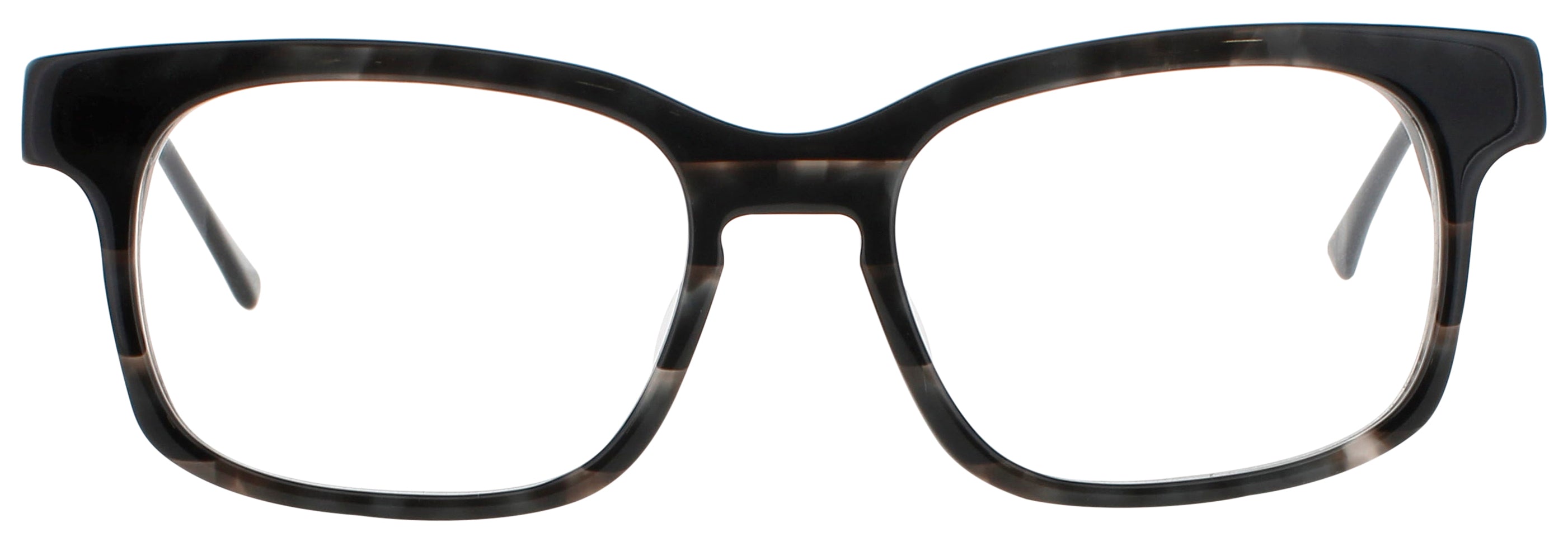 Harry Lary Beasty Eyeglasses