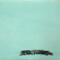 U.S. Maple - Acre Thrills Vinyl LP Record