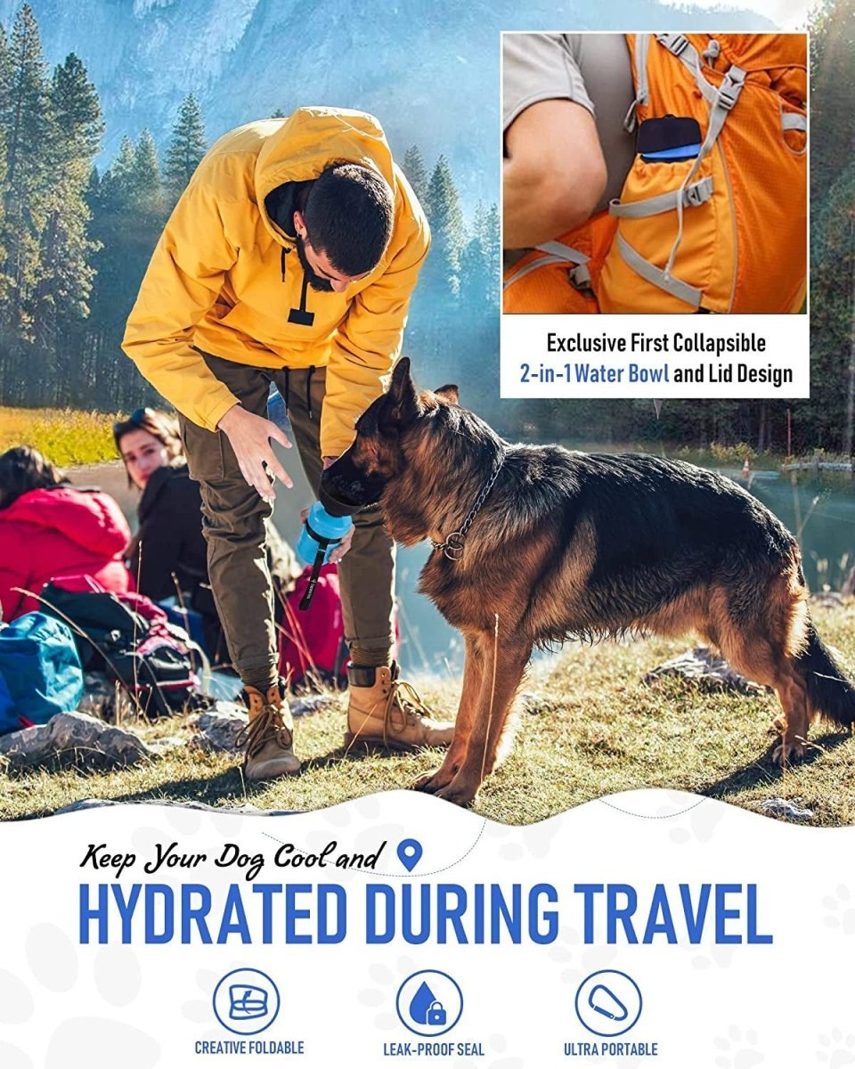 2022 Upgraded Pet Water Bottle - PhishStones Products